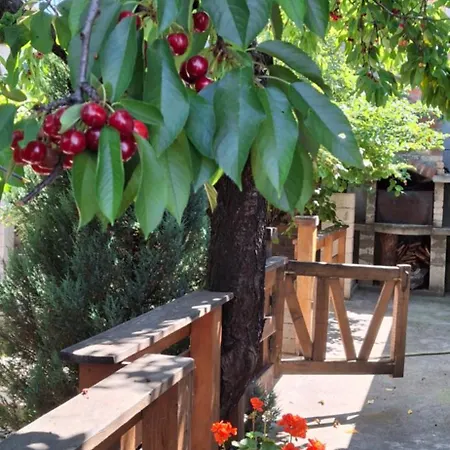 The Old Cherry House * Разлог