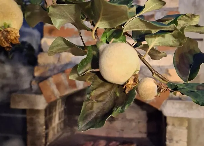 The Old Cherry House * Разлог